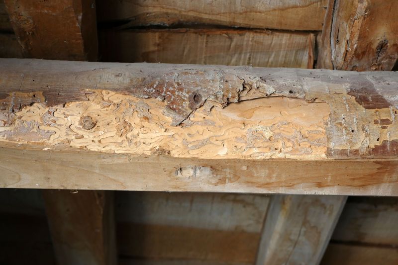 Decayed Wood Replacement in Littleton, CO