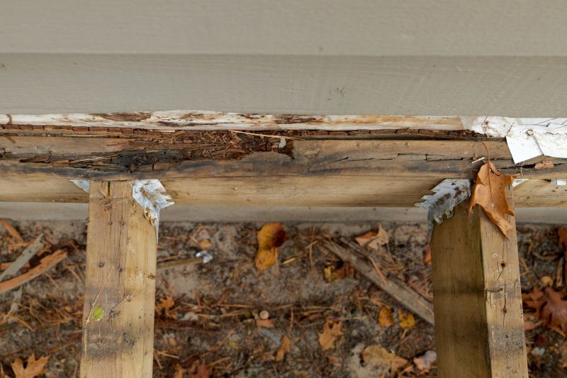 Dry Rot Repair in Kansas City, MO