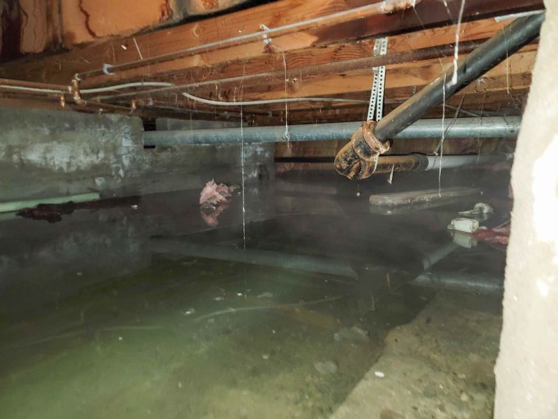 Water Damage Mitigation in Mesa, AZ
