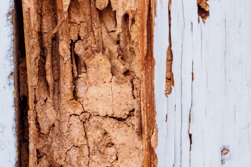 Wood Rot Repair in Kansas City, KS