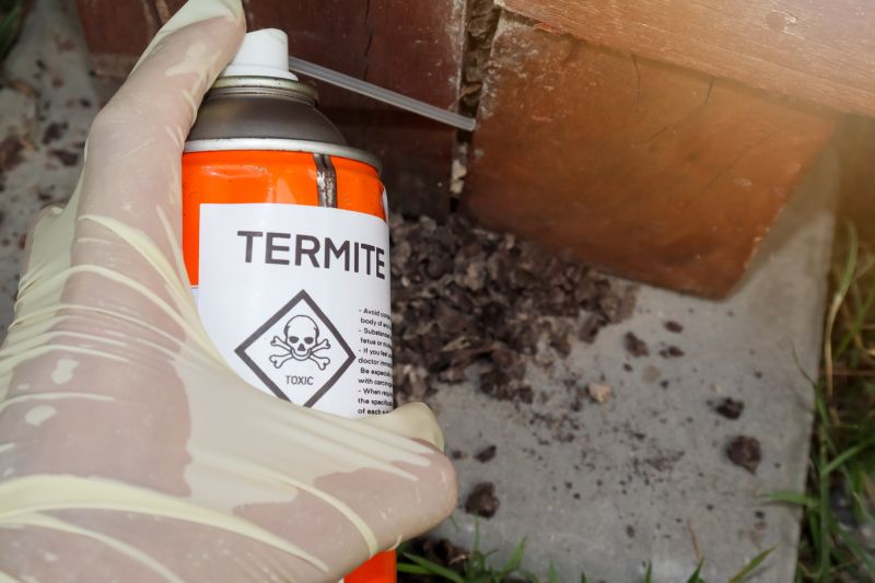 Termite Repair