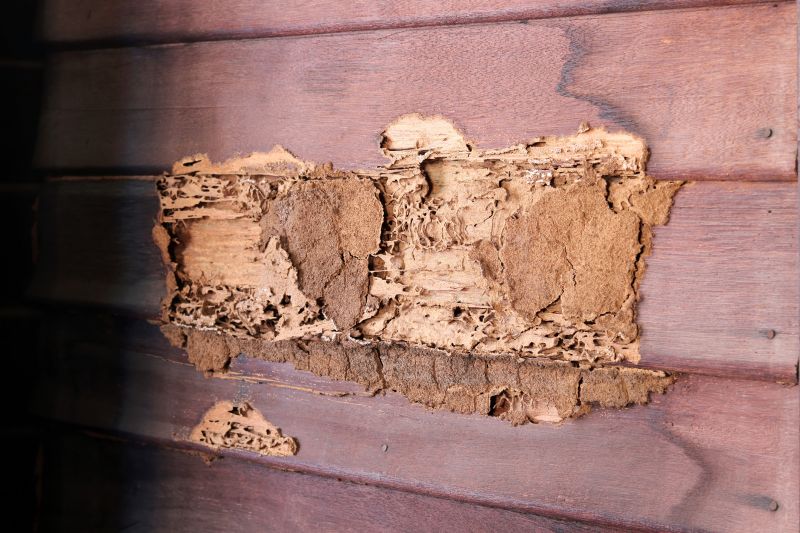 Cost of Termite Repair — Cost of Termite Repair