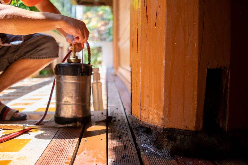 Cost of Termite Repair — Cost of Termite Repair