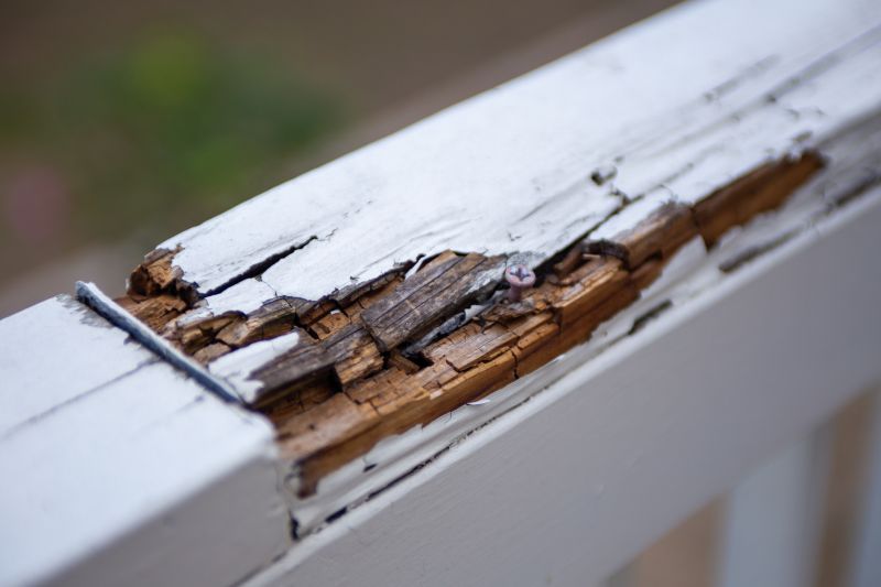 Decay Repair Service in Conroe, TX