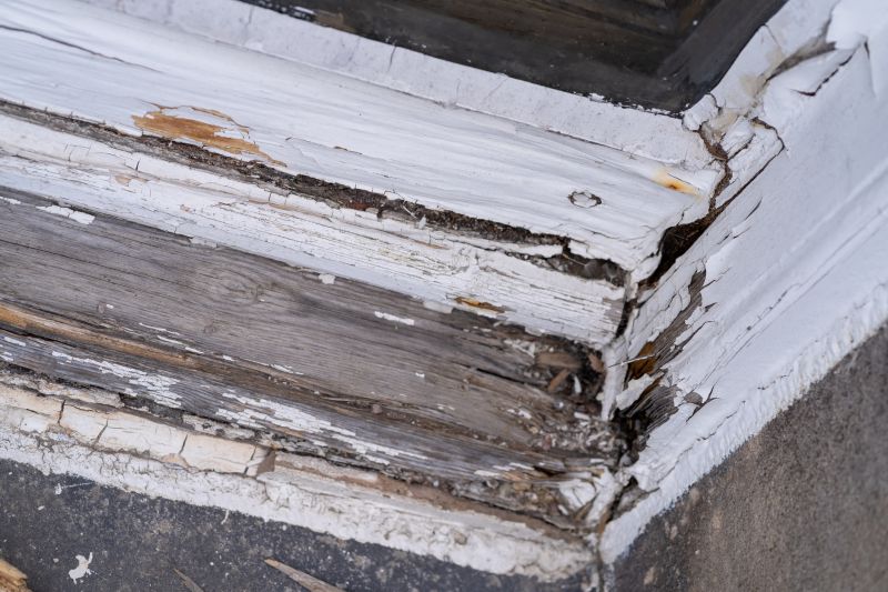 Decay Repair Service in Conroe, TX