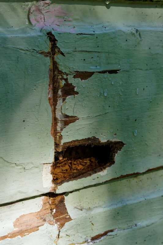 Decayed Wood Replacement in Kansas City, KS