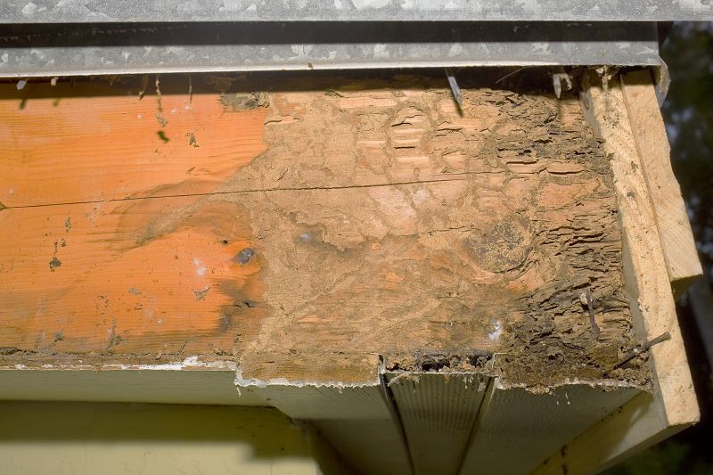 Dry Rot Remediation in Littleton, CO