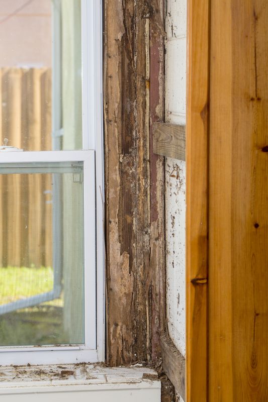 Dry Rot Repair in Indianapolis, IN