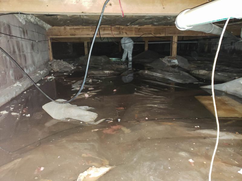 Flood Damage Cleanup in Mesa, AZ