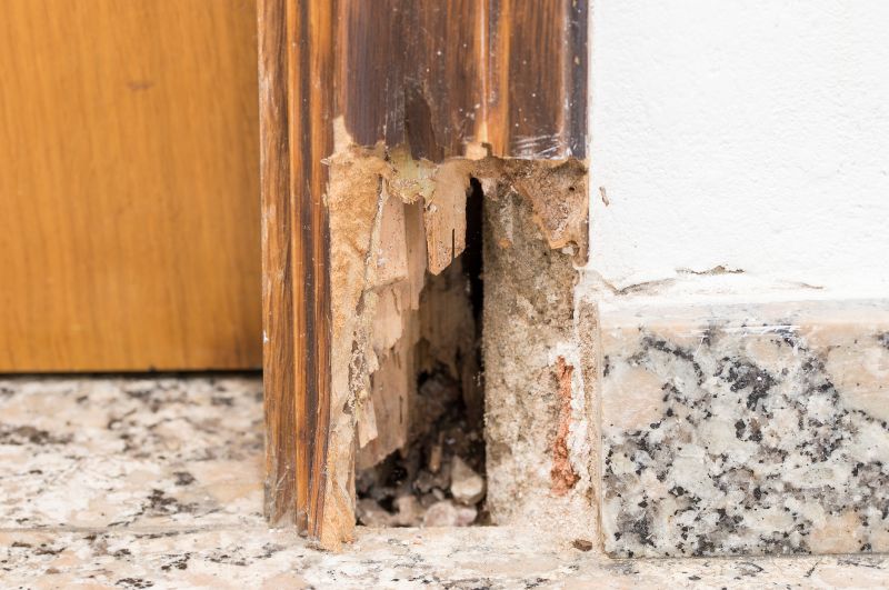 Rot Repair Service in Overland Park, KS