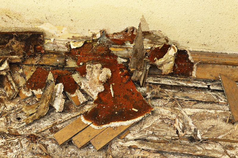 Rotten Wood Repair in Arvada, CO