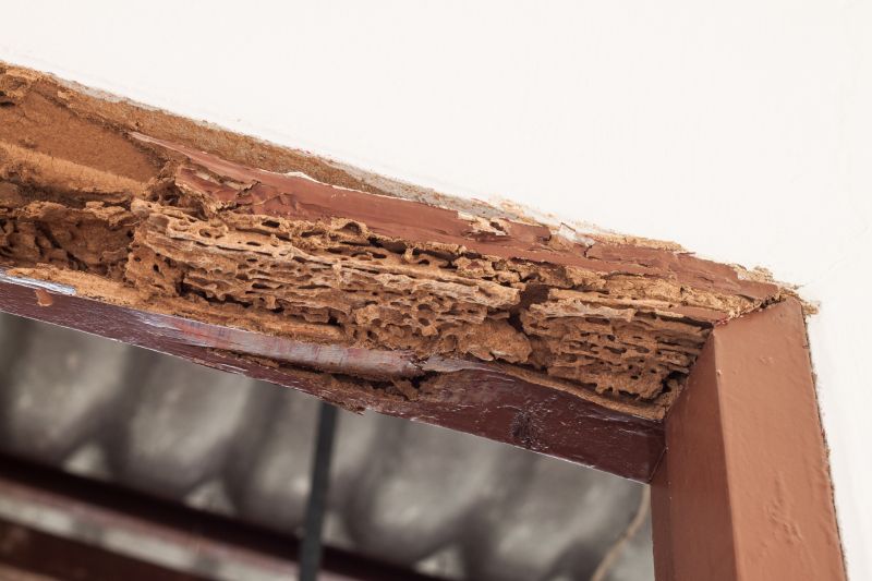 Structural Rot Repair in Overland Park, KS