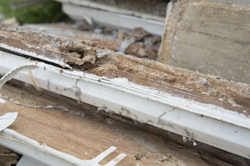 Structural Rot Repair in Kansas City, KS