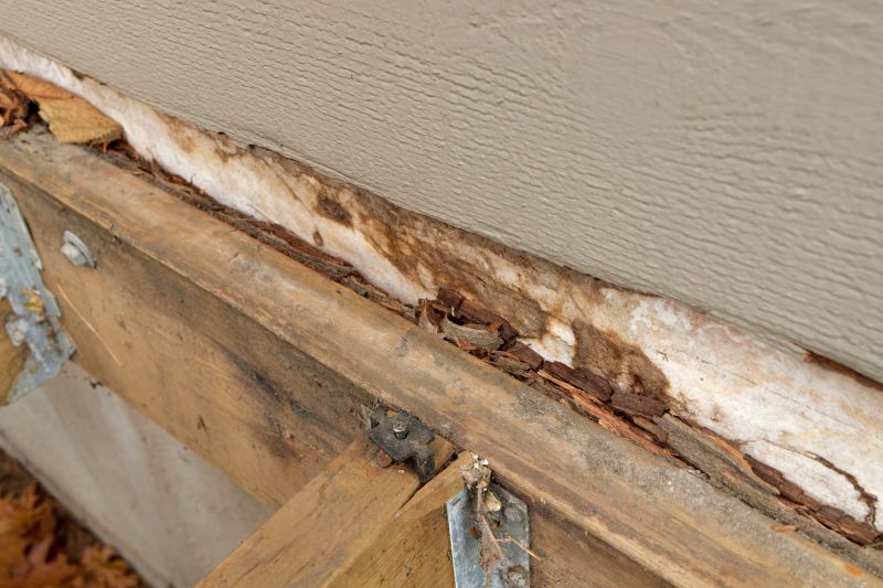 Structural Rot Repair in Conroe, TX