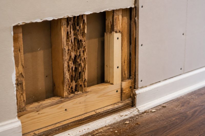 Termite Damage Restoration in Littleton, CO