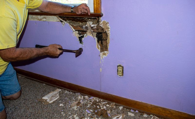 Termite Damage Restoration in Longmont, CO