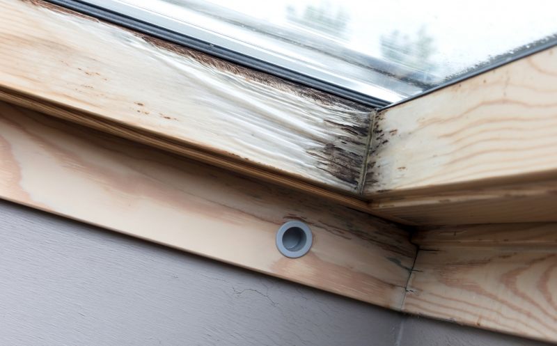 Window Rot Repair in Olathe, KS