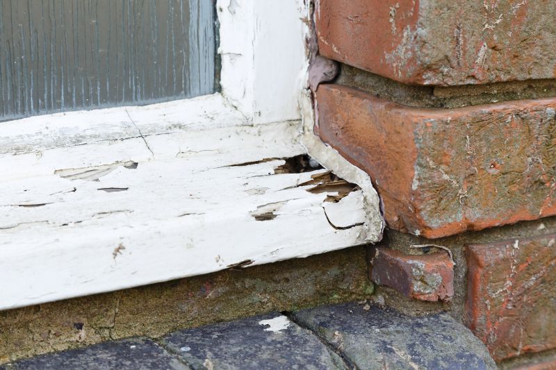 Window Rot Repair in Denver, CO
