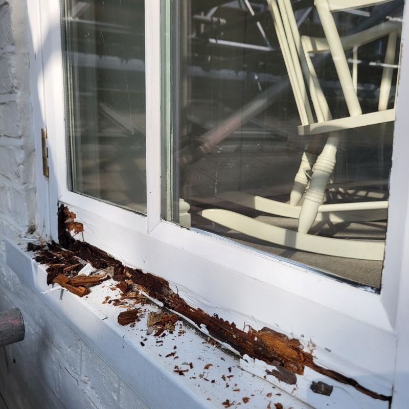 Wood Decay Removal in Denver, CO