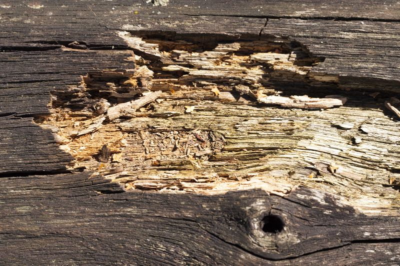 Wood Decay Removal in Kansas City, KS