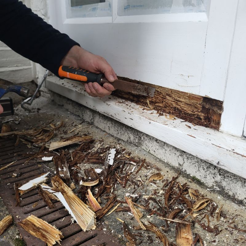 Wood Rot Removal in Arvada, CO